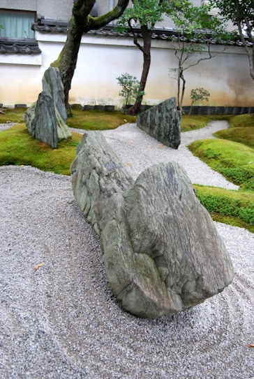 A serene zen garden showcasing natural stones and native plants.