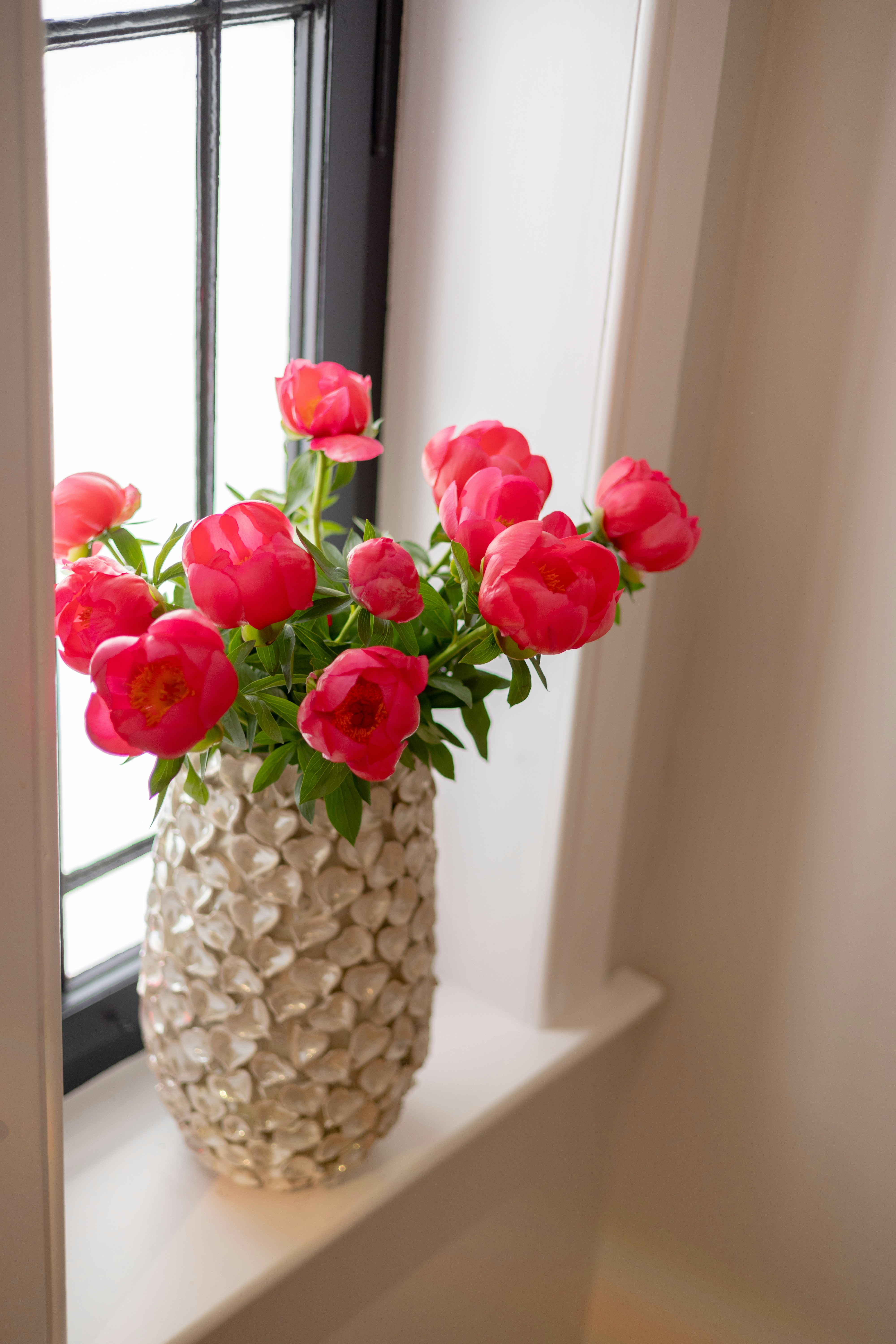 a vase filled with red flowers sitting on a window sill