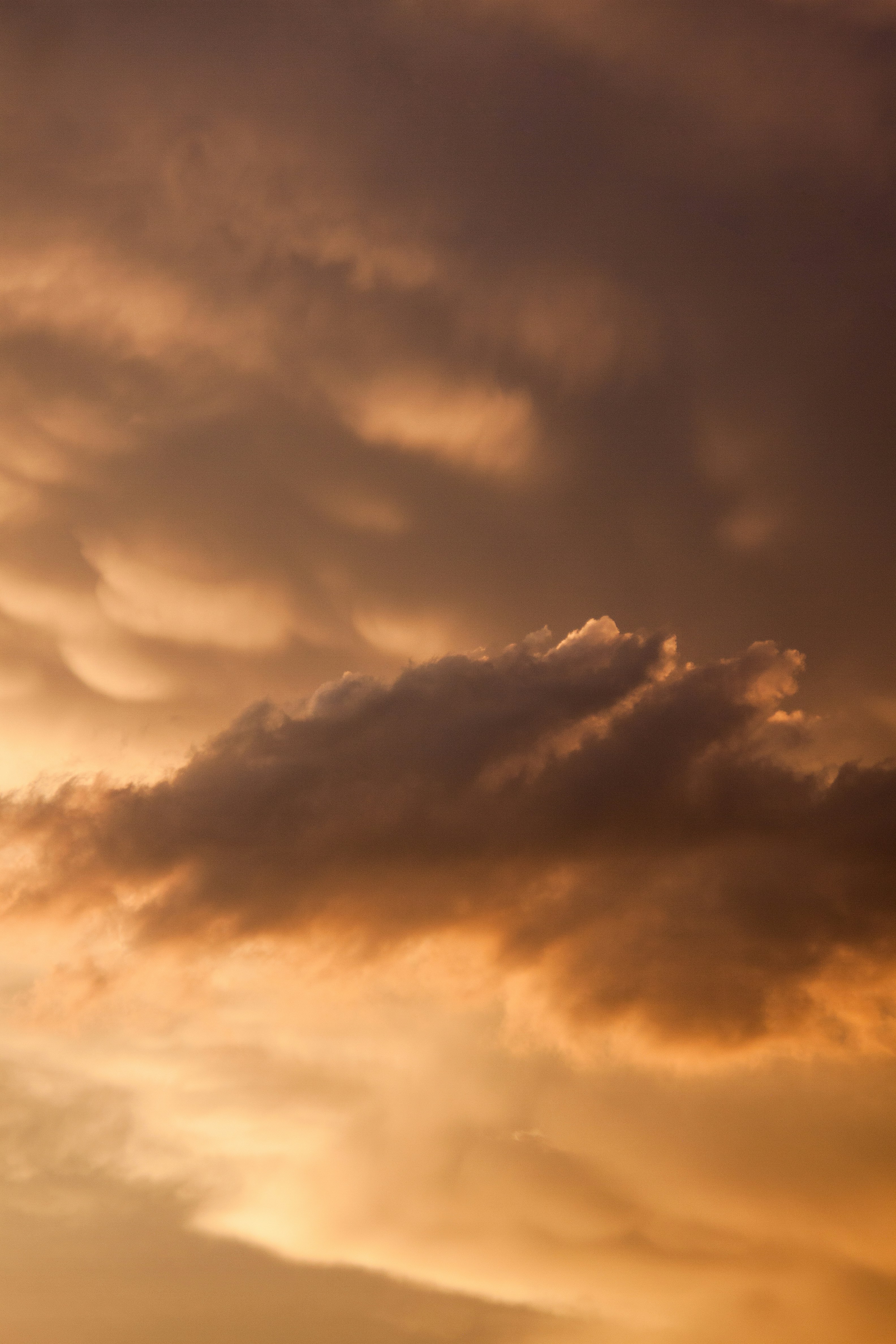 Photo by hossein8728