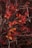 a branch with red and yellow leaves on it