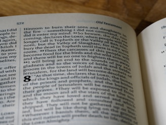 The image depicts an open book displaying a section of text with the title 'Old Testament'. The page number 572 is visible at the top, and paragraphs of text in English are neatly arranged on the page. The focus is on a specific passage discussing a valley and various foretold events.