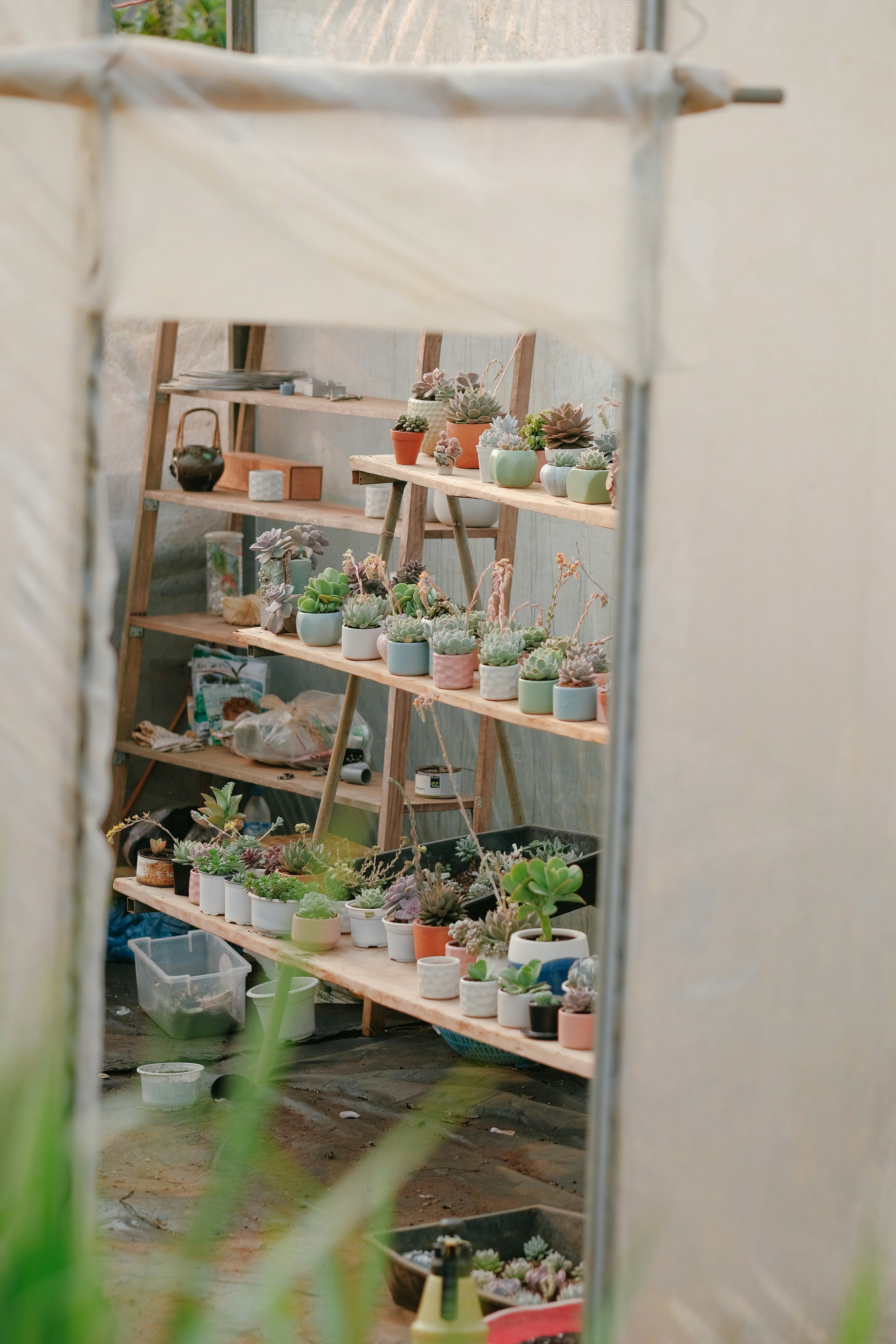 Photo by nguyentrungnguyen