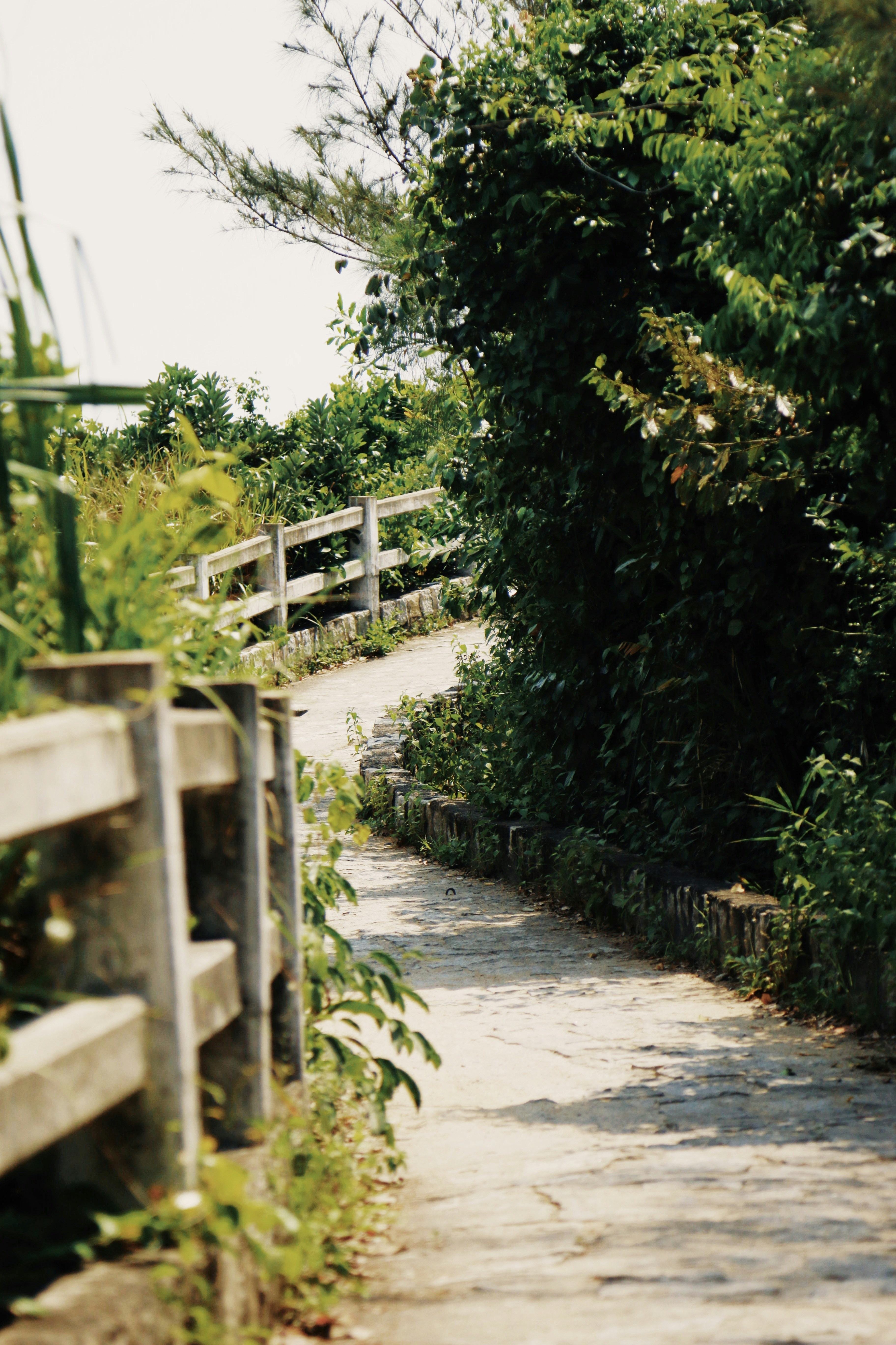 Photo by theotherdreams