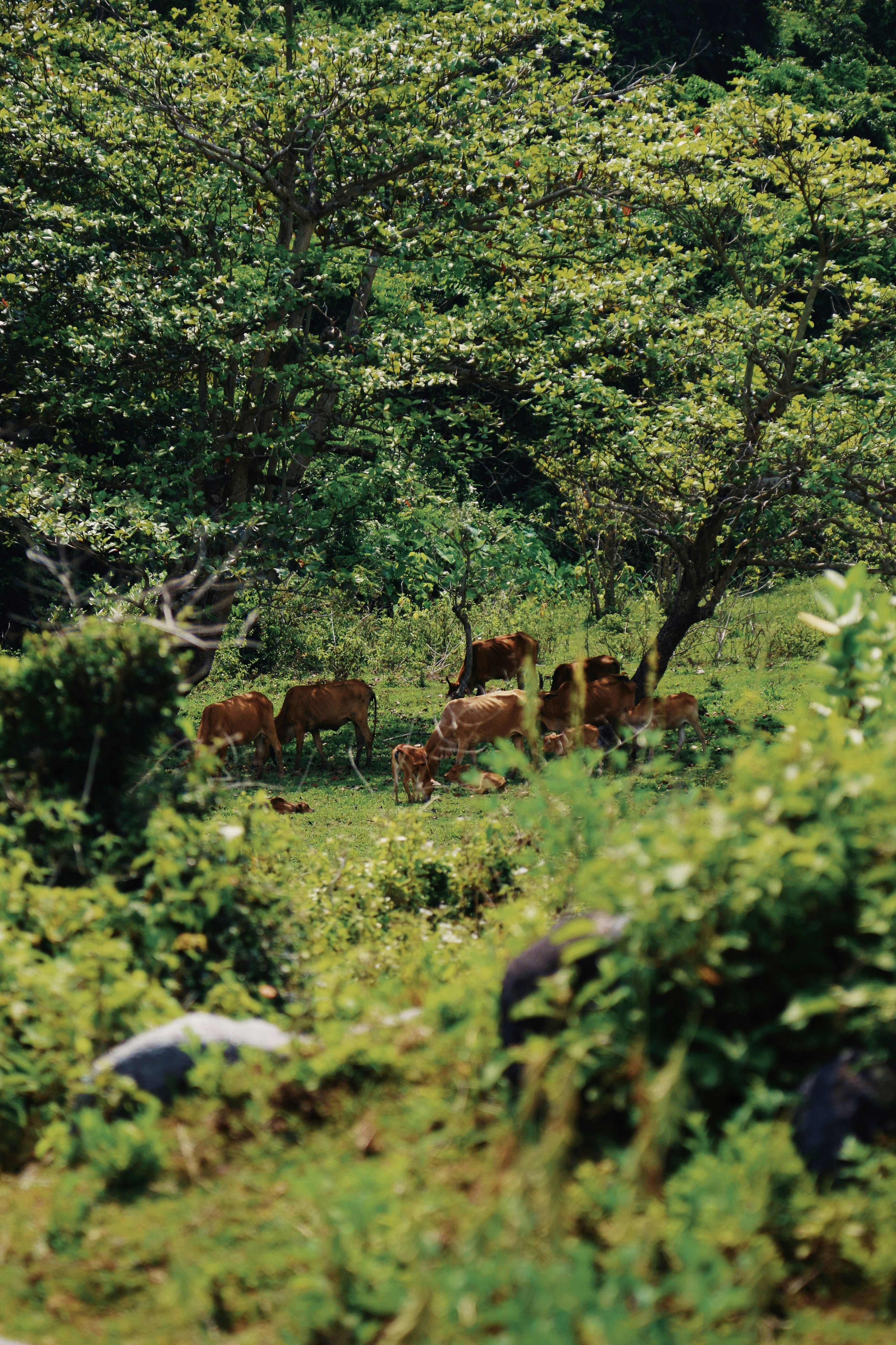 Photo by theotherdreams