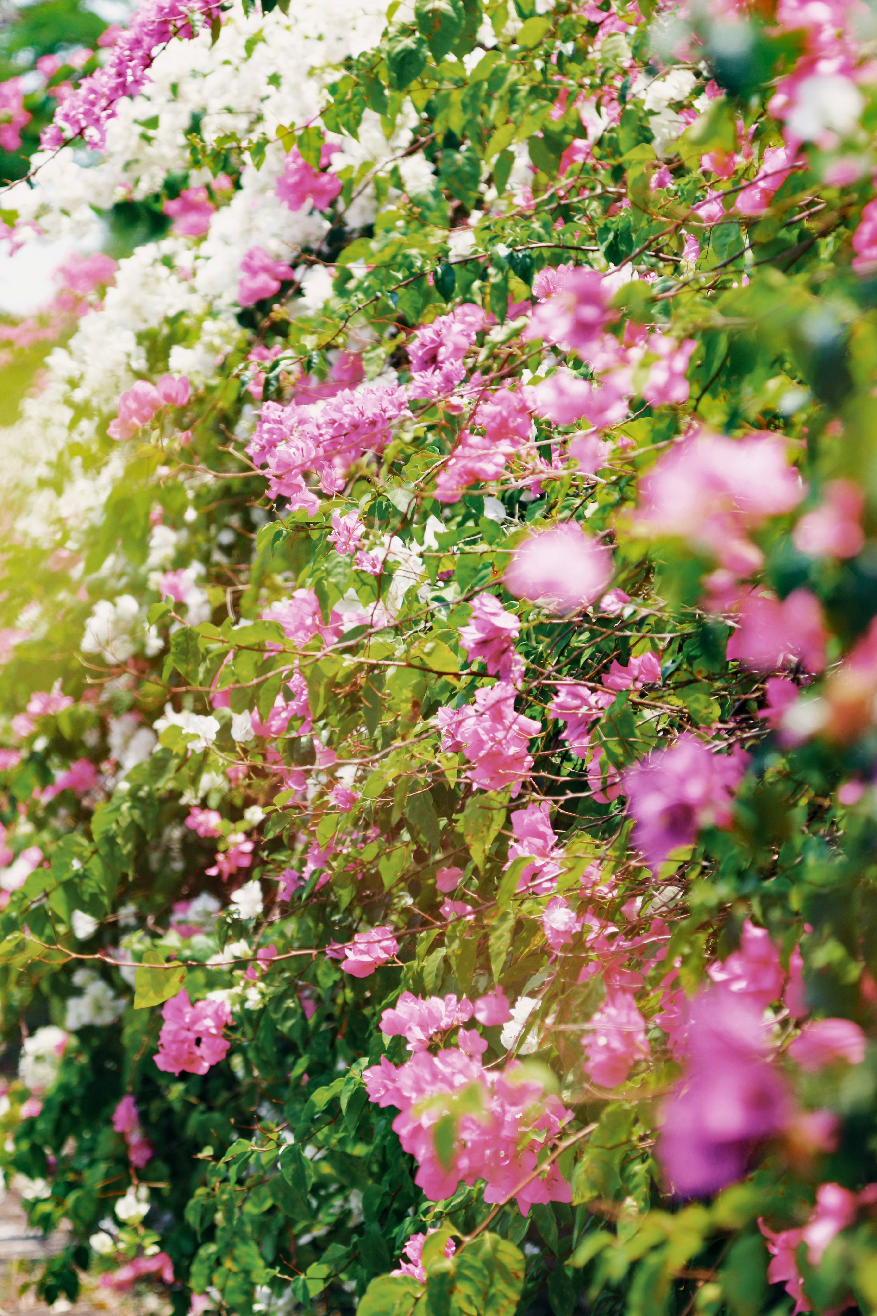 Photo by theotherdreams