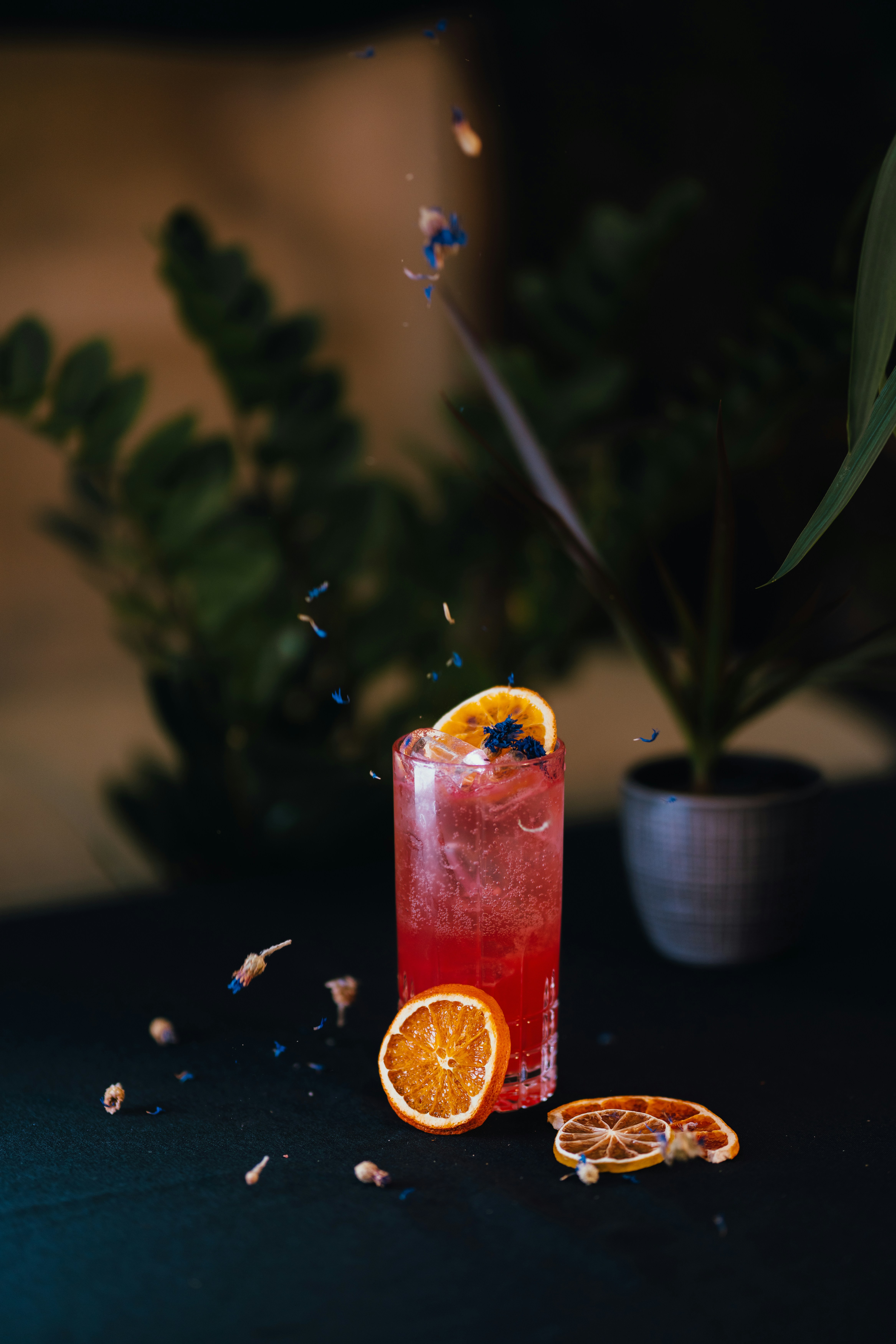 Photo by adrian_infernus