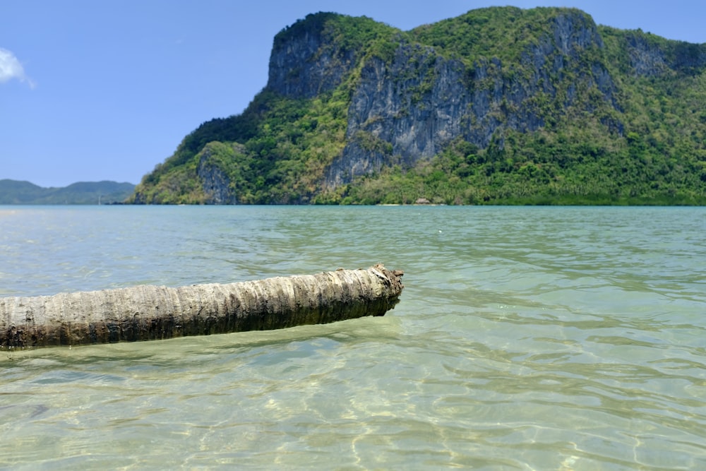 a log sticking out of the water in front of a mountain