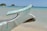 A close-up of a wooden boat prow with weathered paint in light blue, featuring some rust and peeling areas. The background shows a sandy beach and clear, calm ocean water with a few small islands and boats in the distance under a clear blue sky.