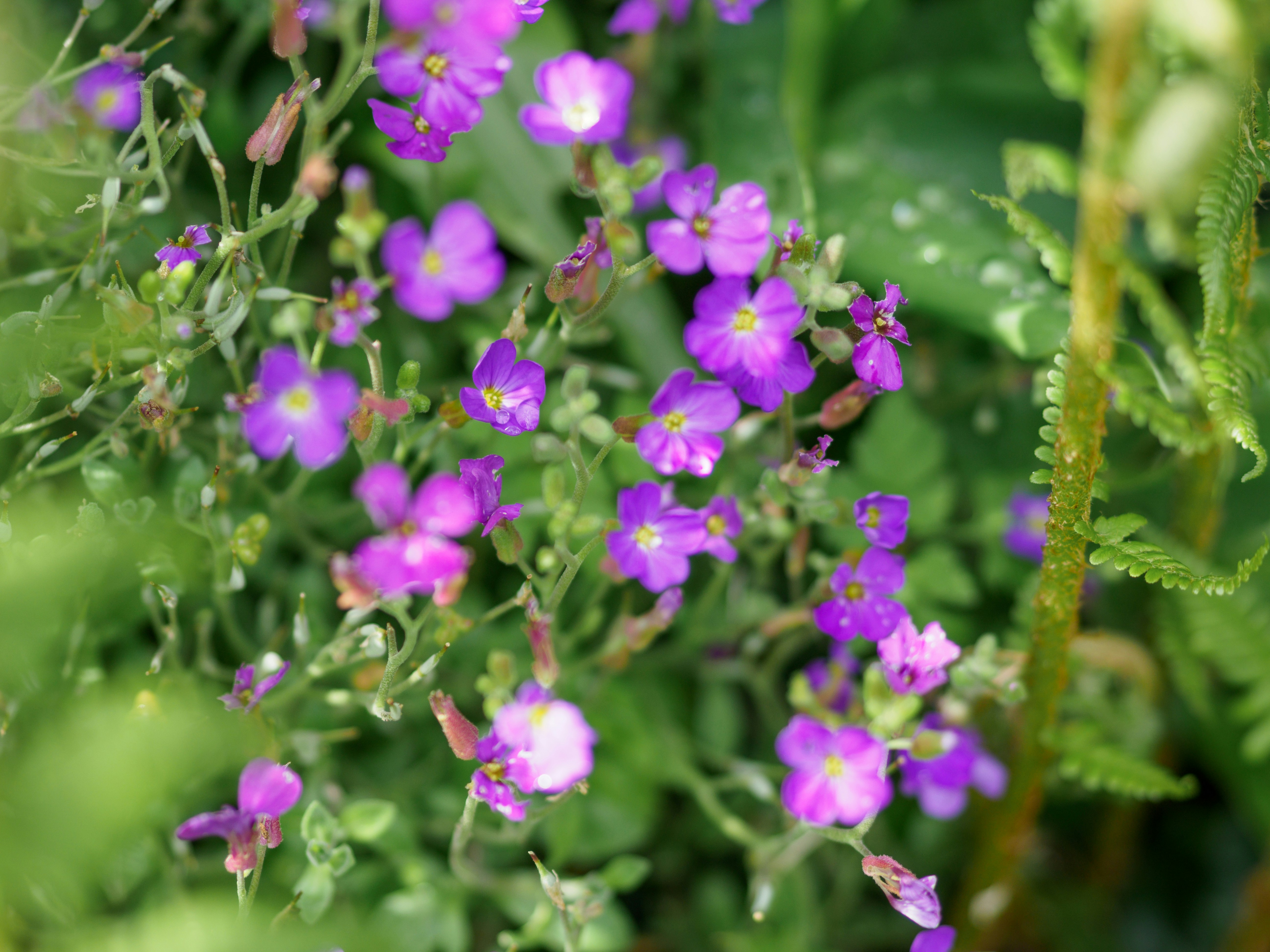 Photo by brett_jordan