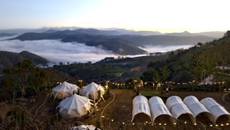 A serene and picturesque campsite is nestled among rolling hills and lush greenery. White tents are set up on a flat area surrounded by tall trees and decorative string lights, with a breathtaking view of a sprawling valley below. The valley is filled with a sea of clouds, and distant mountain peaks are visible against the horizon at sunrise or sunset, adding to the tranquility of the scene.