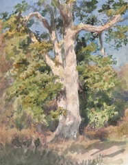 Close-up of a delicate watercolor illustration featuring a child reading under a tree.