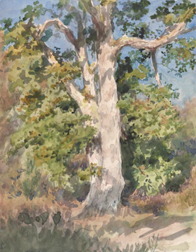 A watercolor painting of a large, textured tree with a thick trunk and spreading branches surrounded by lush green foliage. The tree is set against a clear blue sky, and the brushwork gives a sense of movement and dappled sunlight.
