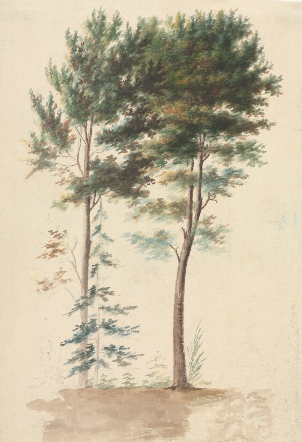 a painting of two trees on a white background