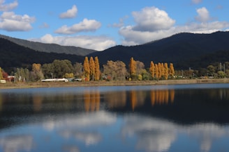 A serene lake reflecting autumn trees with golden leaves in a peaceful setting.