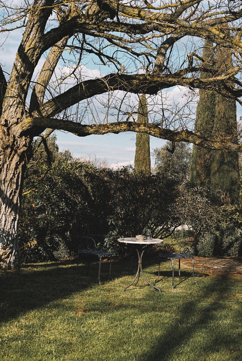 a table and chairs in the grass under a tree