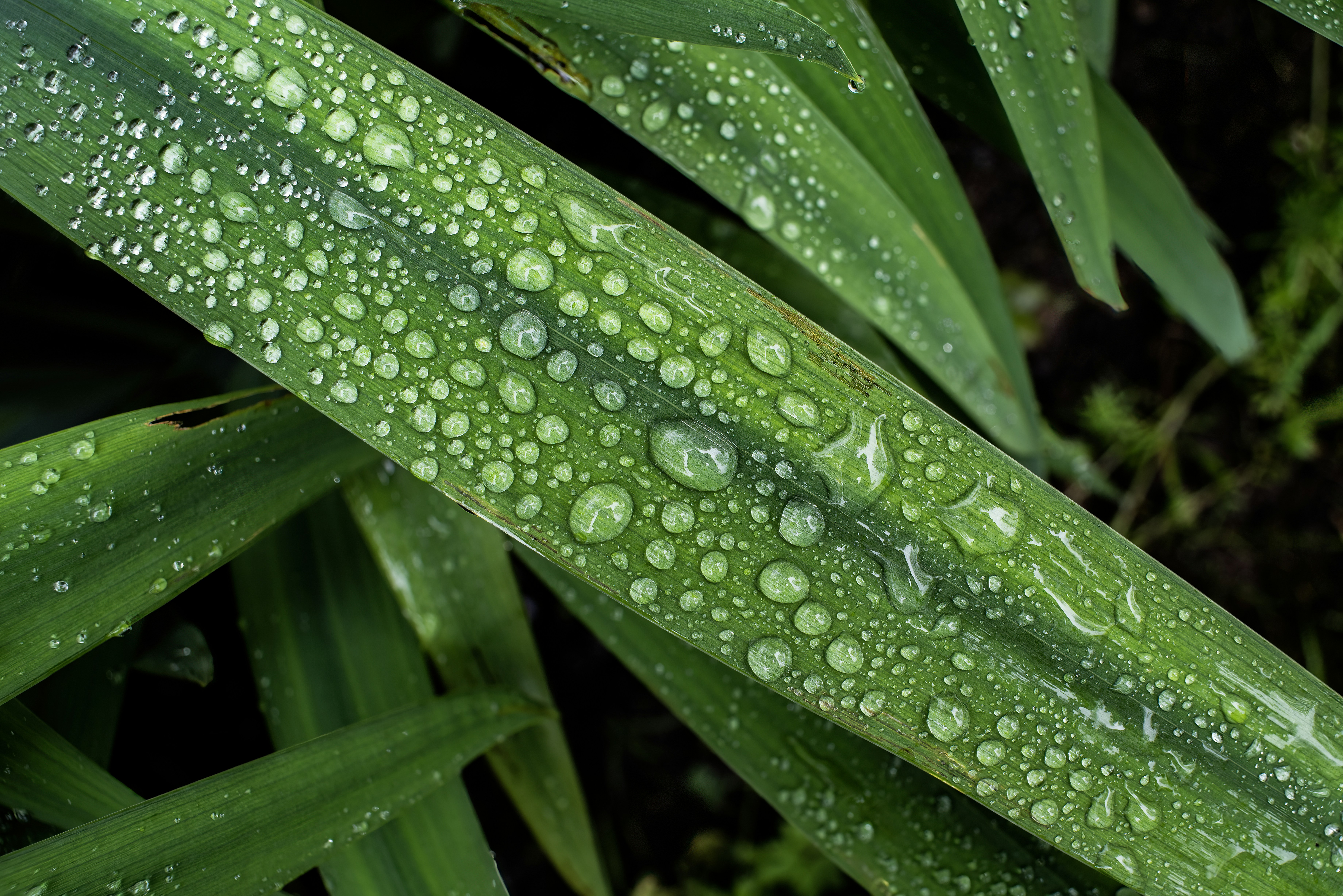 Photo by switch_dtp_fotografie