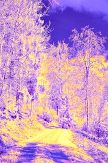 A surreal and vibrant landscape with tall trees lining a dirt path. The foliage is depicted in a psychedelic style with purple and yellow hues contrasting against a deep blue sky.