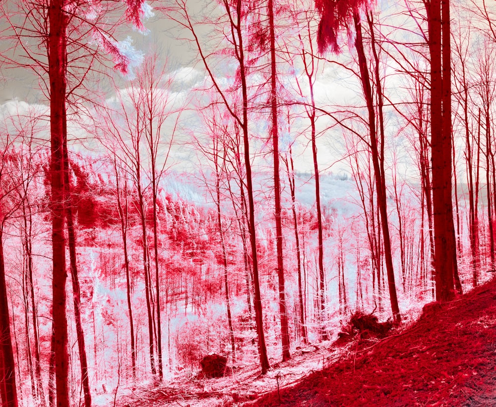 a painting of a red forest with trees