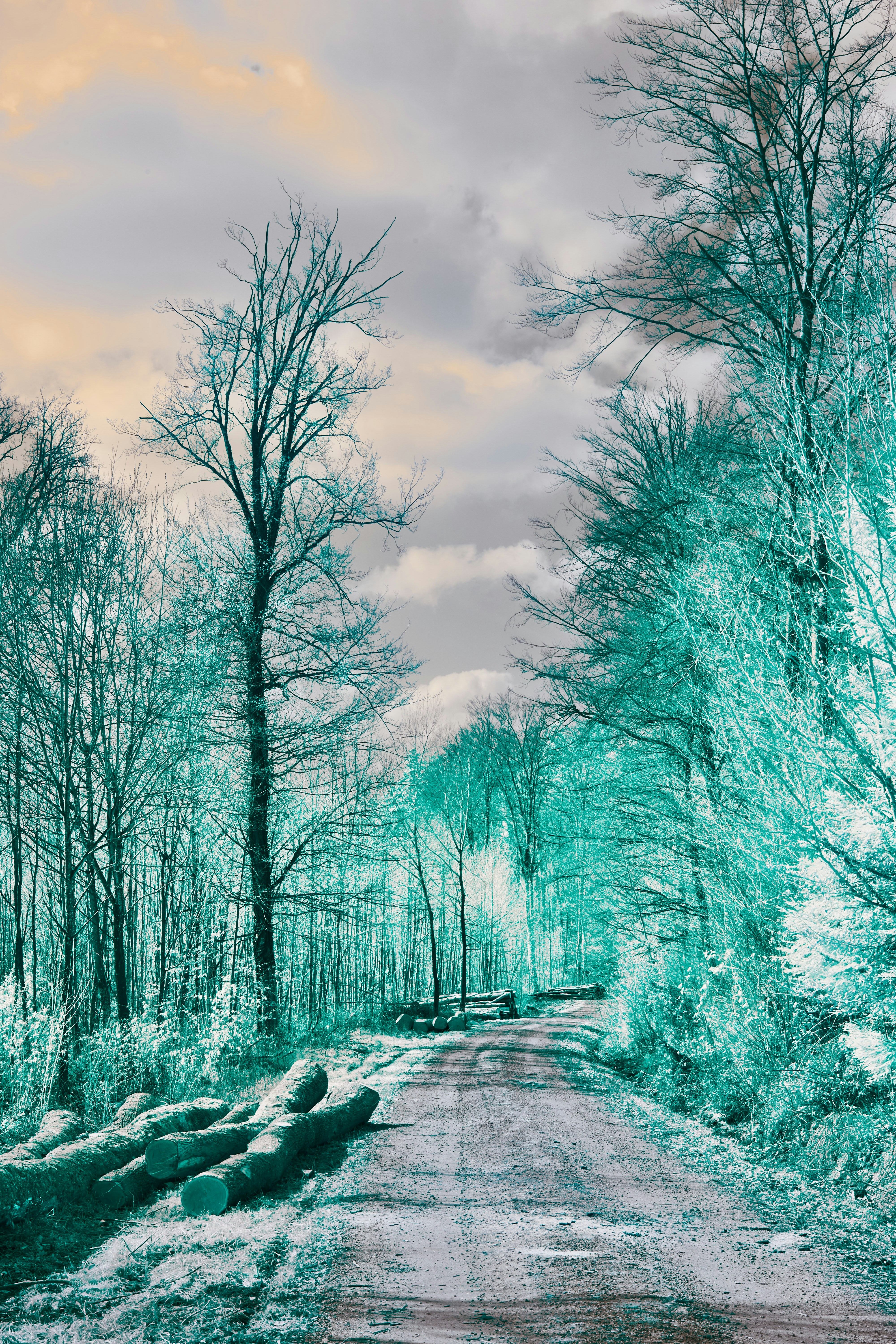 Photo by wolfgang_hasselmann