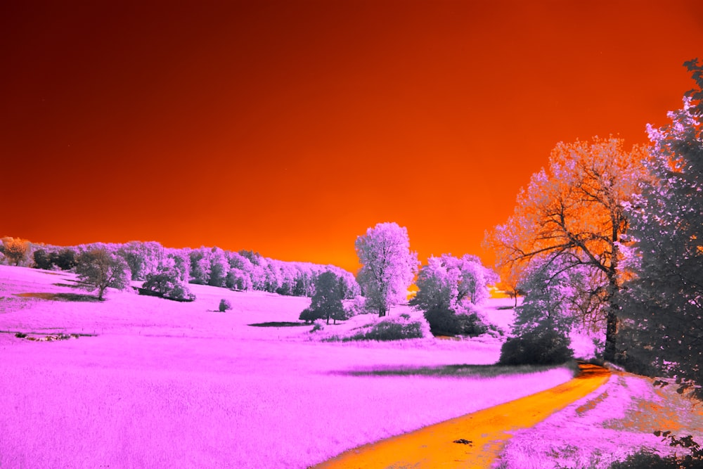 a infrared image of a road in the middle of a field