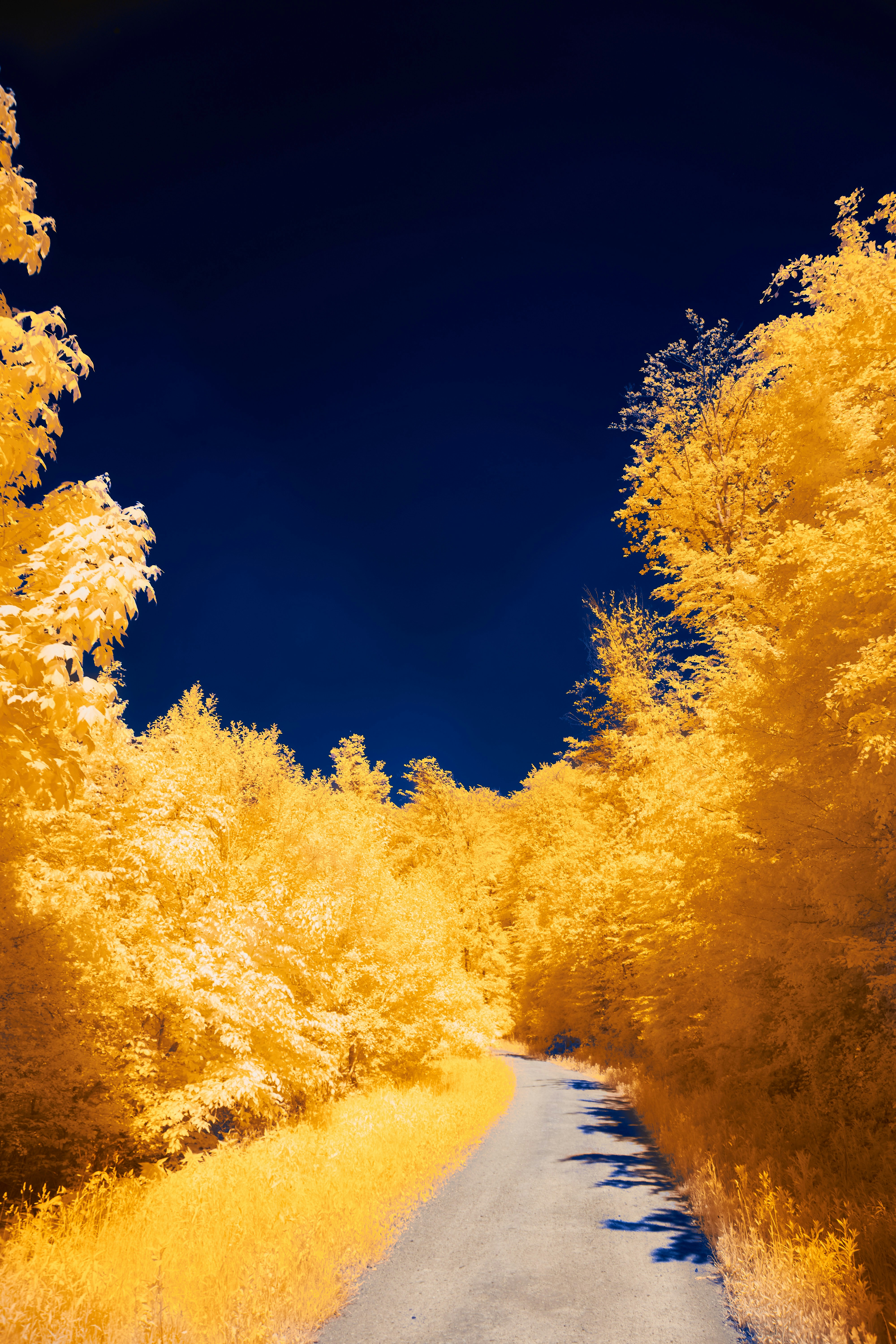 Photo by wolfgang_hasselmann