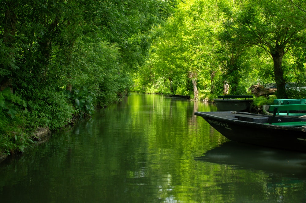 a boat on a river surrounded by trees