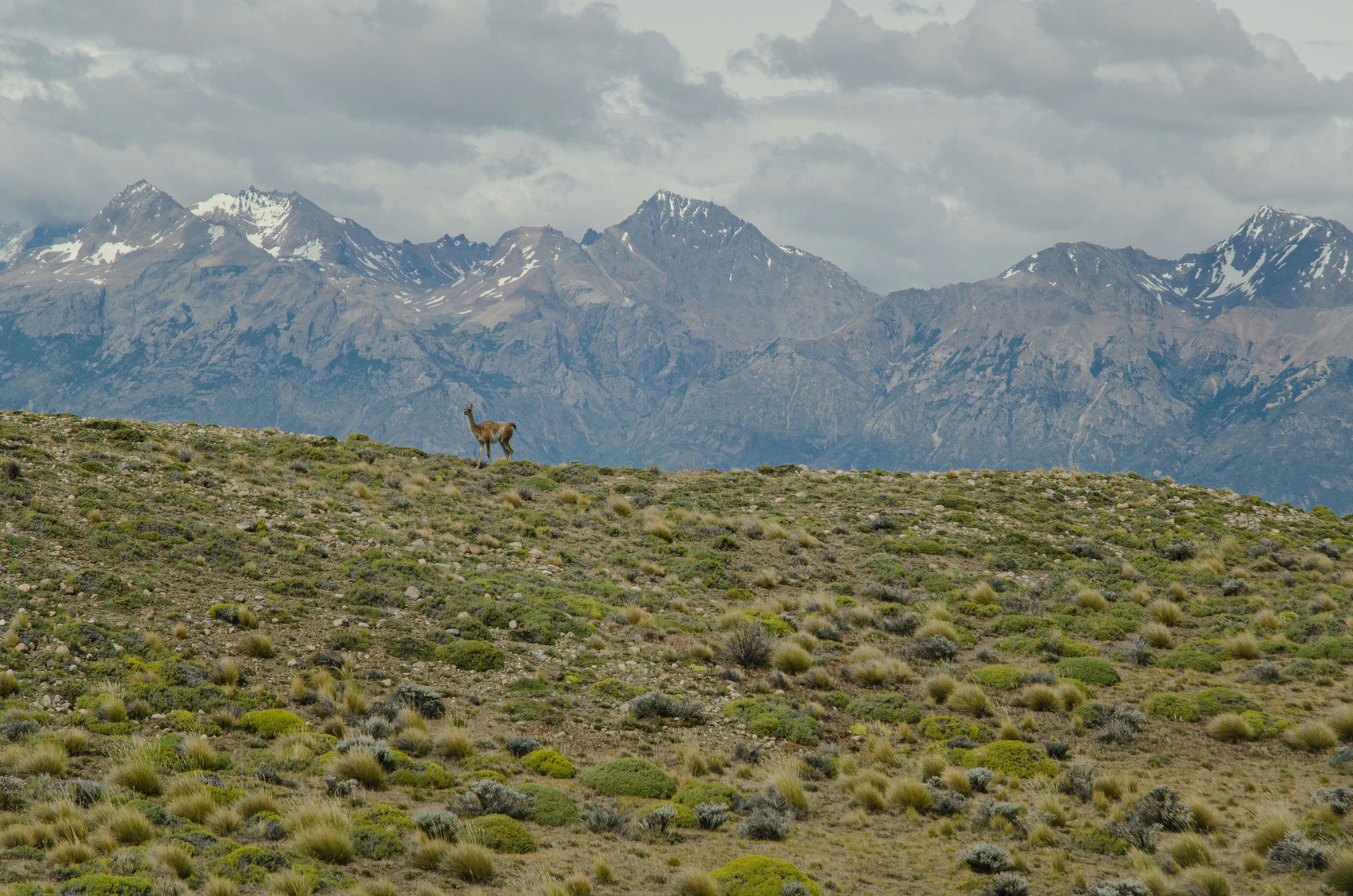 Photo by kotrynajuskaite