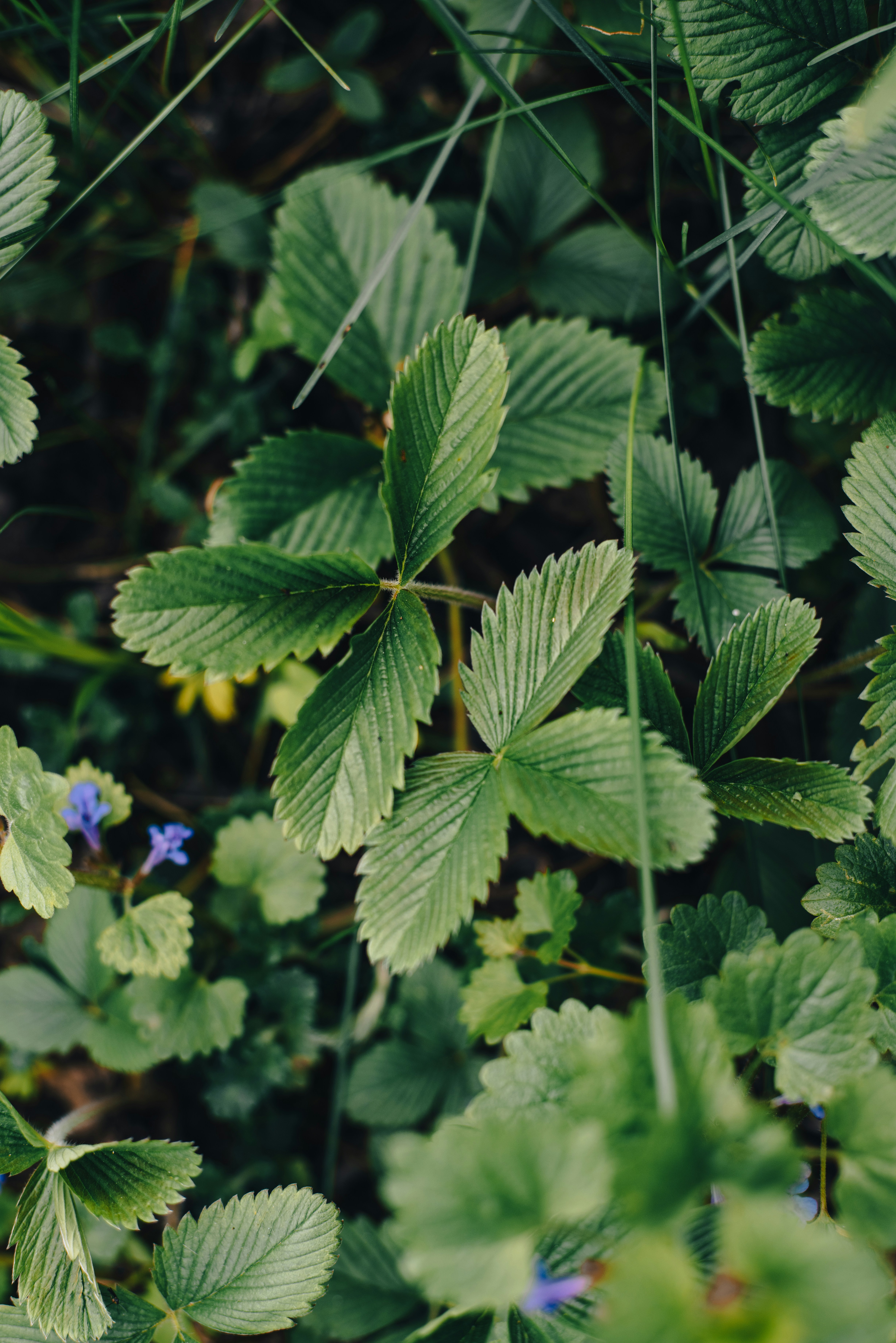 Photo by eugenivy_now