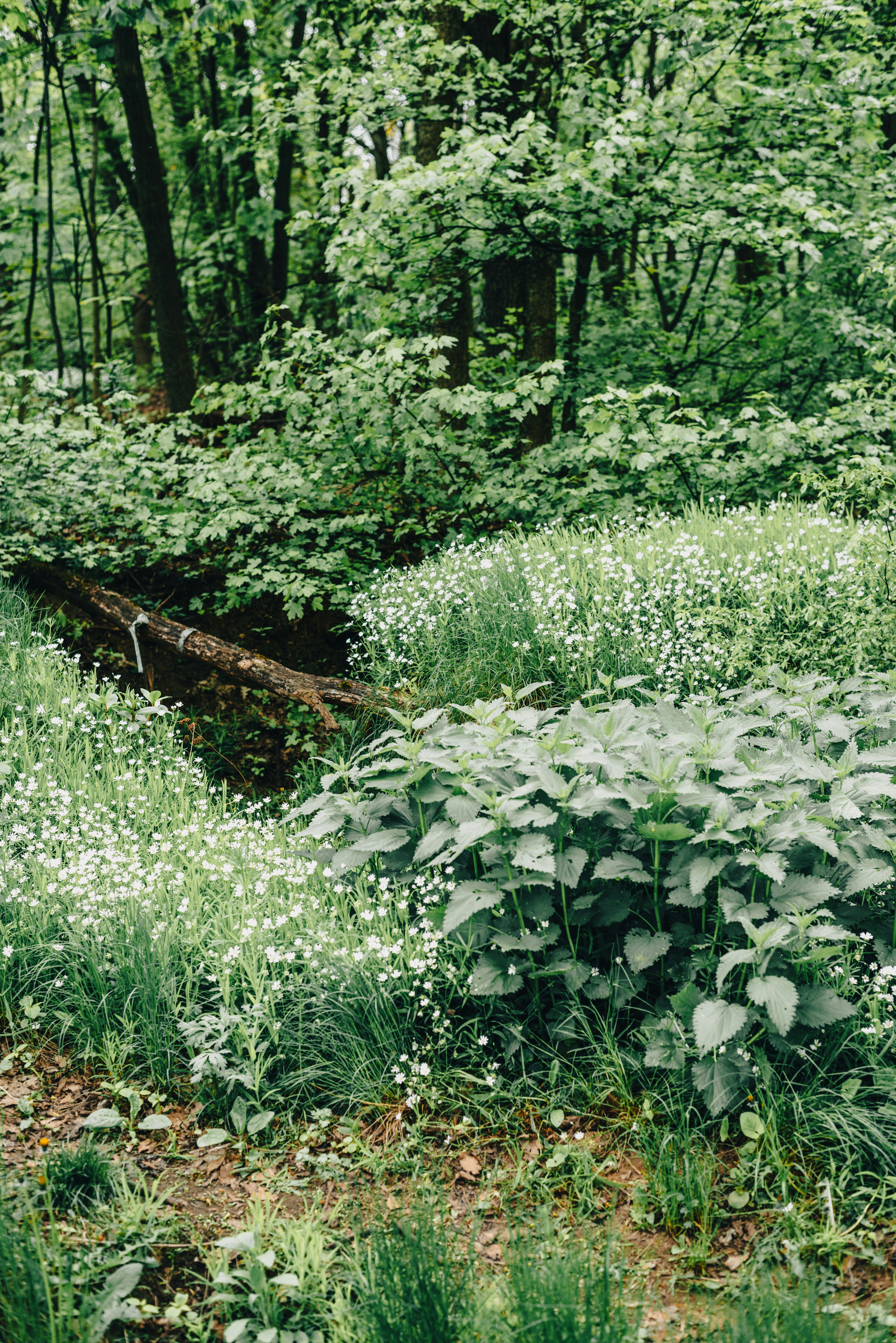 Photo by eugenivy_now