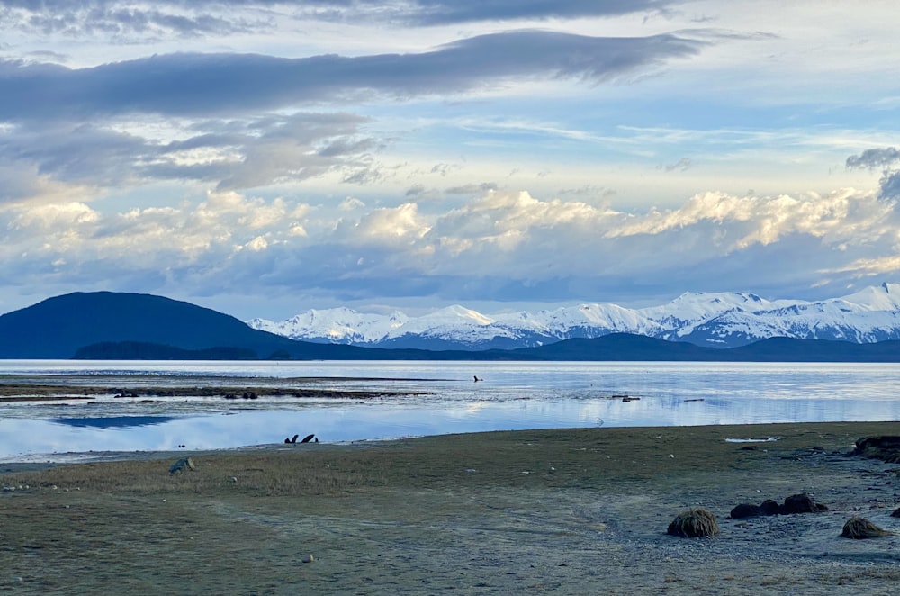 a large body of water with mountains in the background