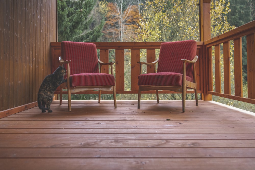 a cat sitting on a wooden porch next to two chairs