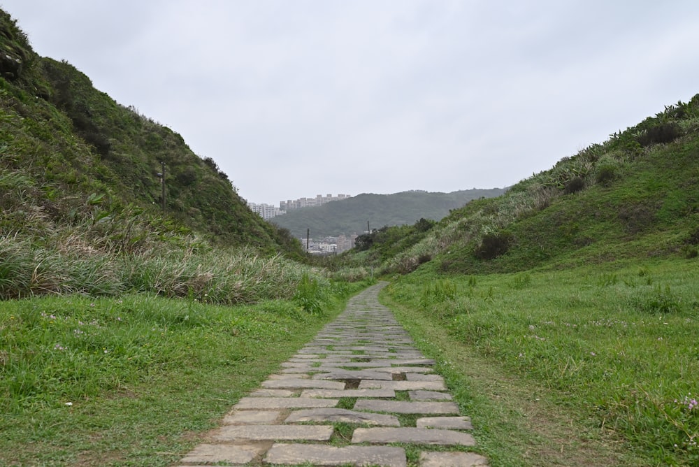 a stone path in the middle of a grassy field