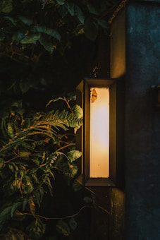 A wall-mounted lamp with a warm glow illuminates surrounding leafy foliage. The scene appears to be taken during dusk or night, casting the greenery in deep shadows. A moth is visible on the lamp cover.