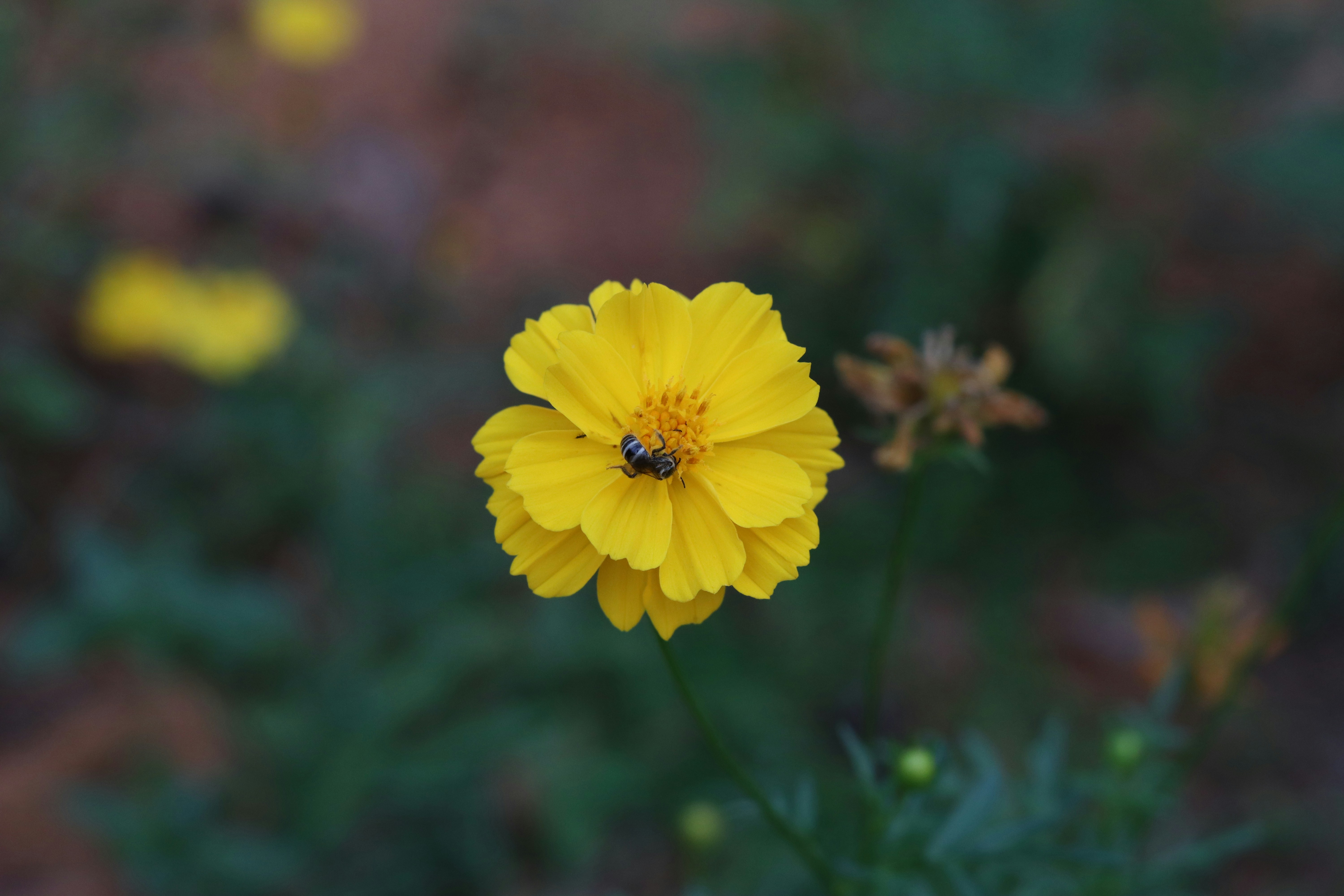 Photo by gorbinphilip