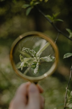 Kids exploring a small garden with magnifying glasses.