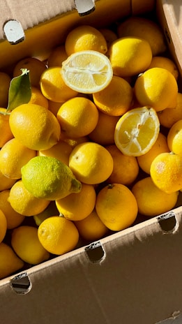 Boxes filled with fresh oranges and lemons glowing under natural light.