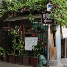 A small street-side shop is covered with lush green vines on a trellis above the entrance. Various potted plants are arranged in front of the shop, creating a vibrant, natural atmosphere. A handwritten sign in Chinese characters is displayed, advertising tea for sale. A brown directional sign is affixed to a pole nearby with more Chinese characters. The shop has a rustic appearance with a simple corrugated roof.