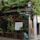 A small street-side shop is covered with lush green vines on a trellis above the entrance. Various potted plants are arranged in front of the shop, creating a vibrant, natural atmosphere. A handwritten sign in Chinese characters is displayed, advertising tea for sale. A brown directional sign is affixed to a pole nearby with more Chinese characters. The shop has a rustic appearance with a simple corrugated roof.
