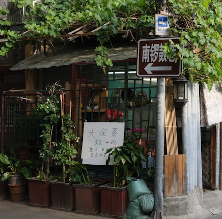 A small street-side shop is covered with lush green vines on a trellis above the entrance. Various potted plants are arranged in front of the shop, creating a vibrant, natural atmosphere. A handwritten sign in Chinese characters is displayed, advertising tea for sale. A brown directional sign is affixed to a pole nearby with more Chinese characters. The shop has a rustic appearance with a simple corrugated roof.