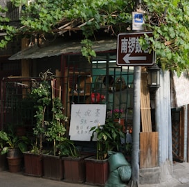 A small street-side shop is covered with lush green vines on a trellis above the entrance. Various potted plants are arranged in front of the shop, creating a vibrant, natural atmosphere. A handwritten sign in Chinese characters is displayed, advertising tea for sale. A brown directional sign is affixed to a pole nearby with more Chinese characters. The shop has a rustic appearance with a simple corrugated roof.