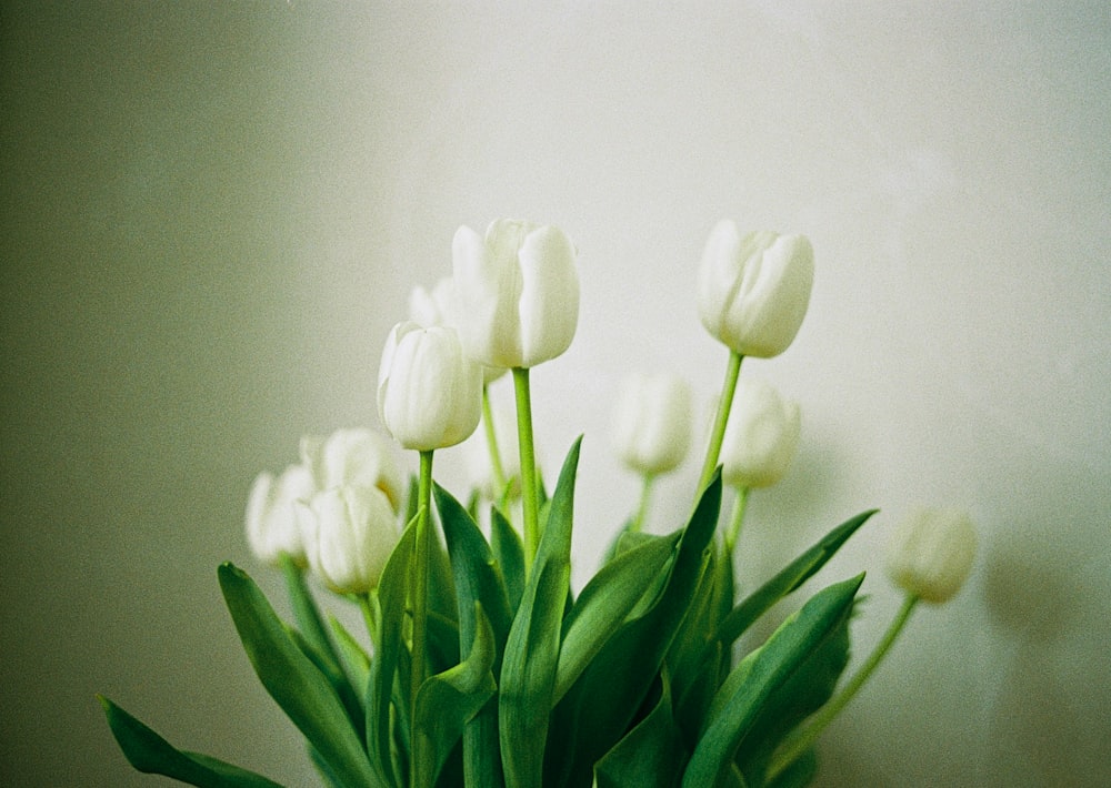 a vase filled with white flowers on top of a table