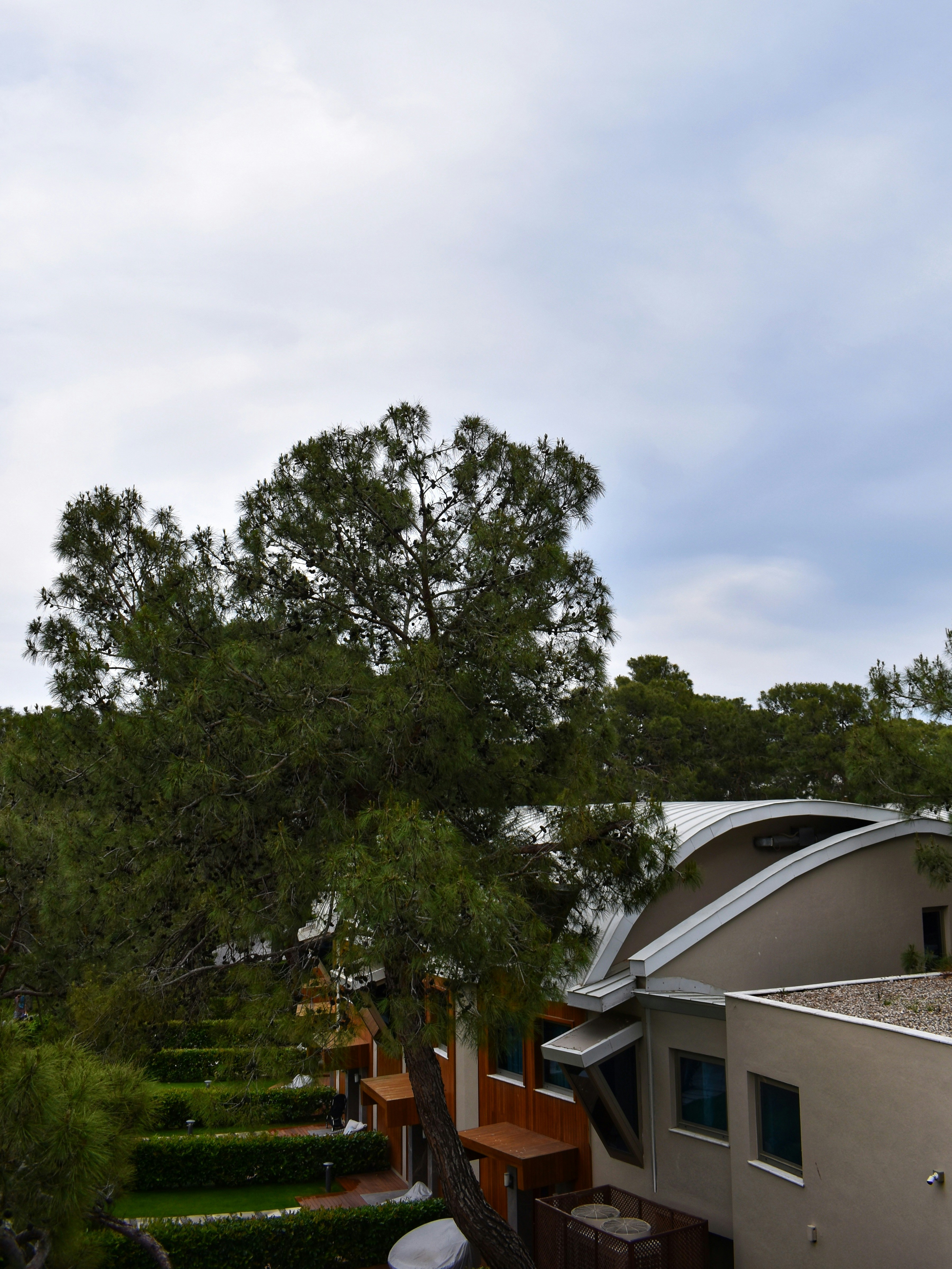 Photo by mustafakonuk