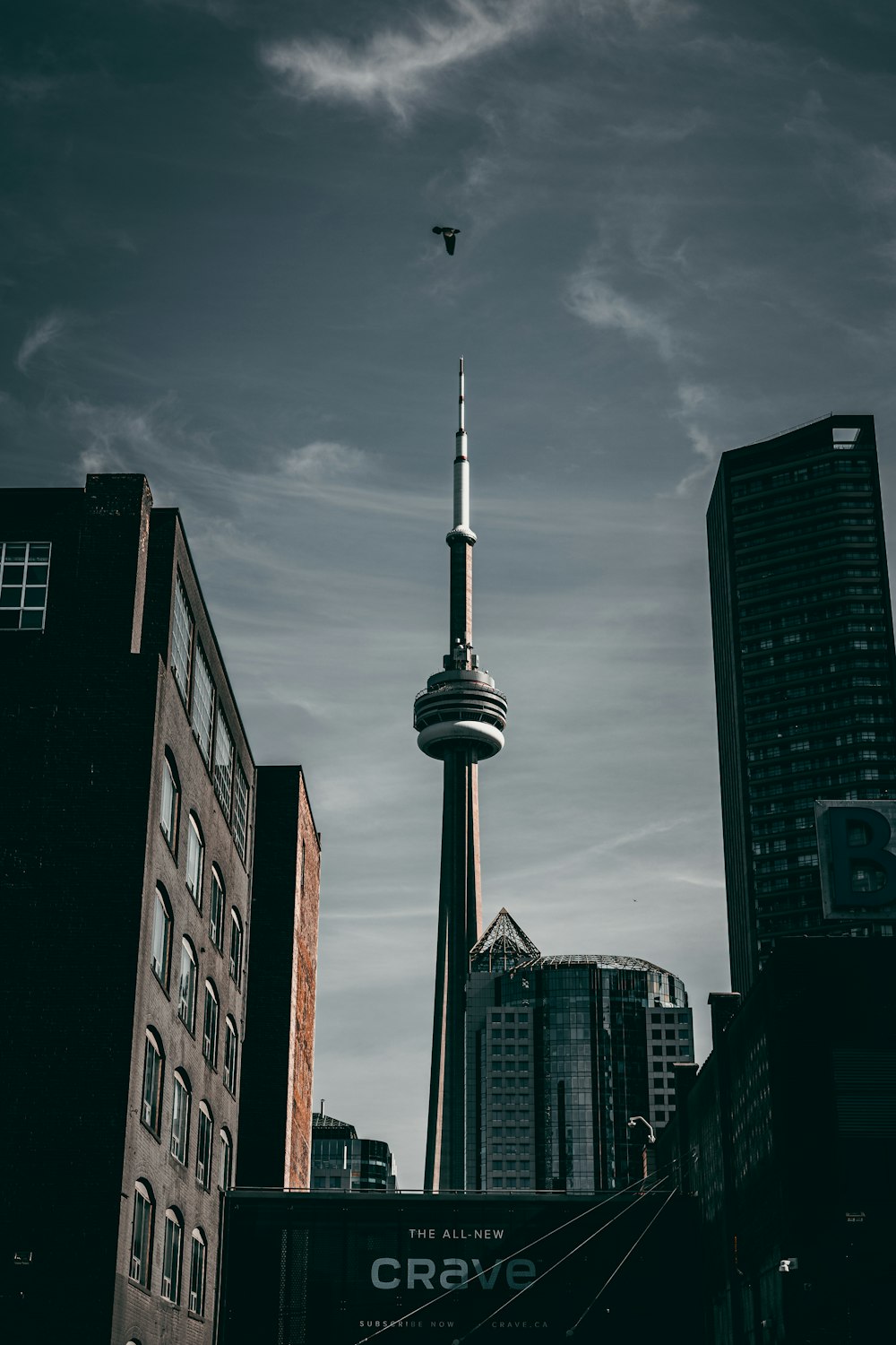 a black and white photo of the cn tower in toronto