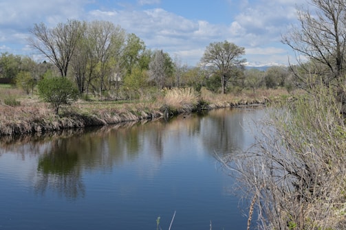 Illustration of a gentle blue river flowing through a lush green landscape with flowers