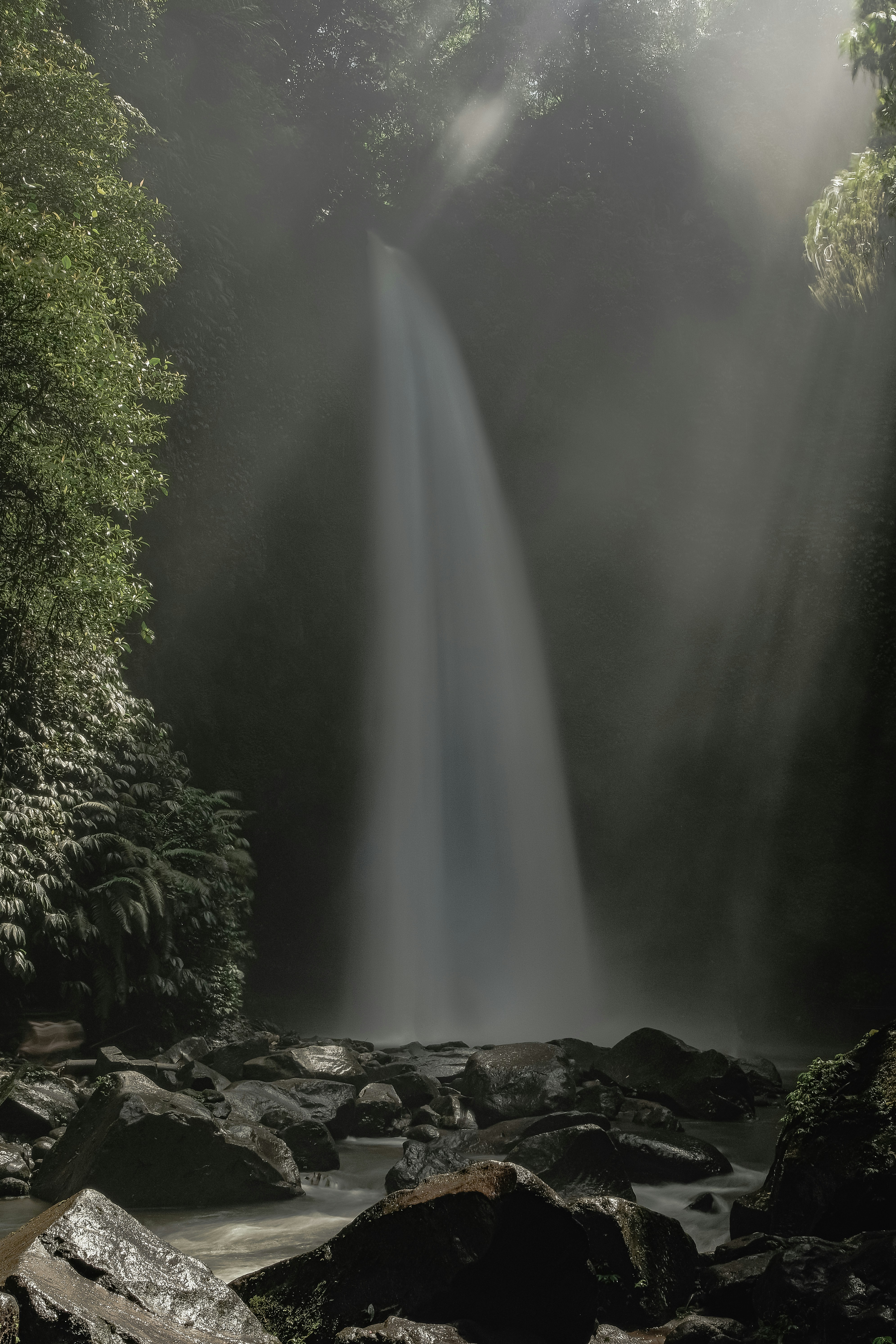 Photo by aryakrisdyantara