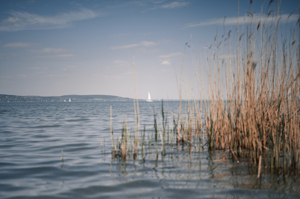 a sailboat is in the distance on the water