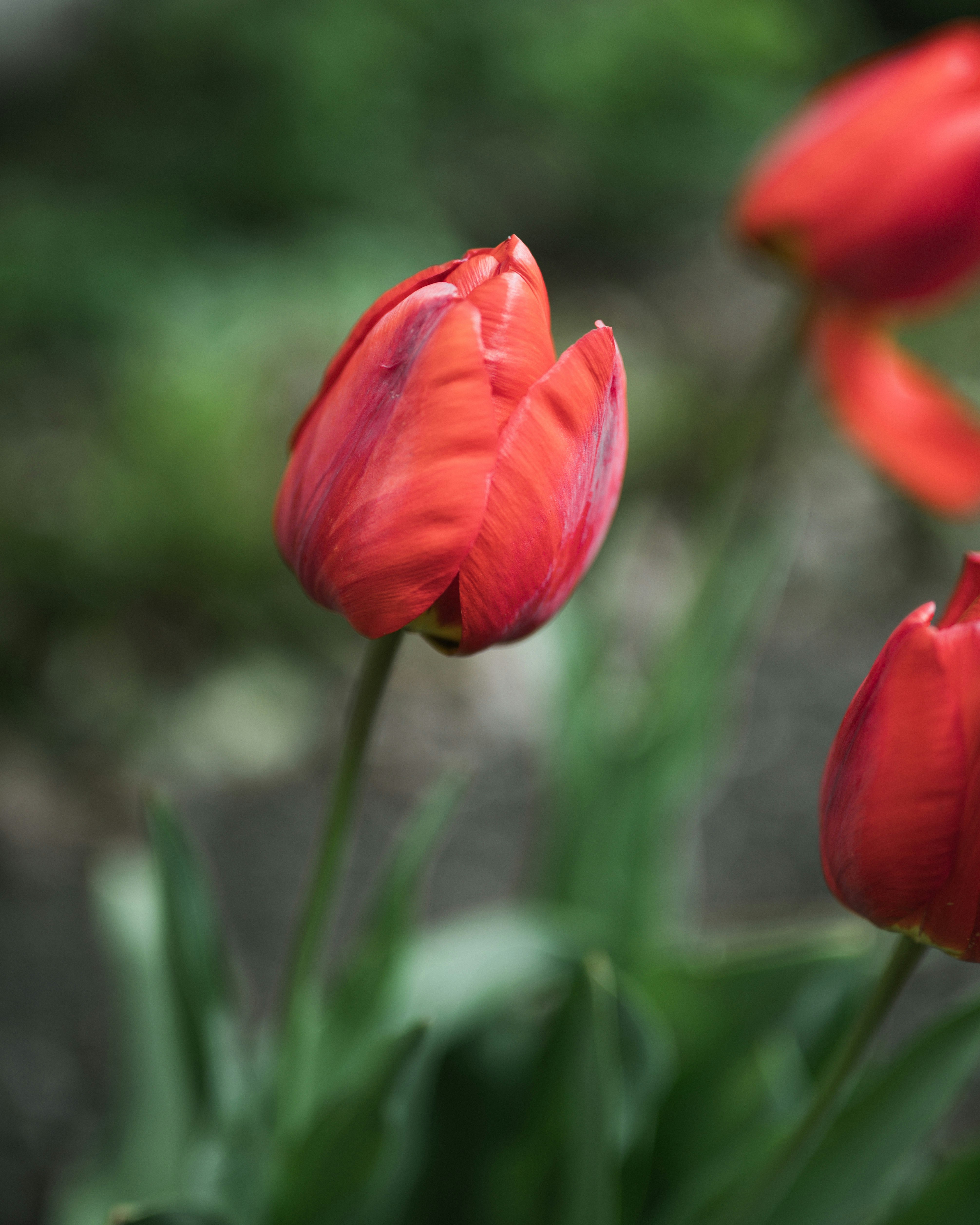 Photo by istvanszitas