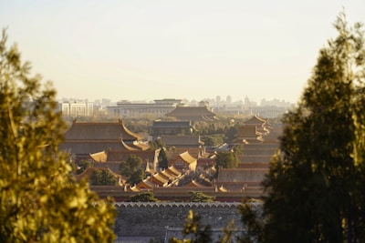 Ancient Chinese architecture surrounded by lush greenery under a clear blue sky.