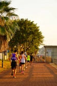 A group of friends jogging together on a scenic trail.