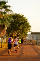 An outdoor scene of people jogging in a park.